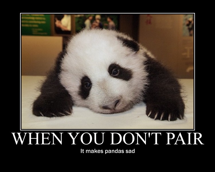 sad panda